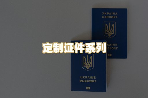 定制证件系列